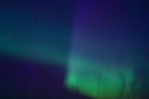 Exploring the Phenomenon of **Zero-Waste Shopping** and Its Challenges