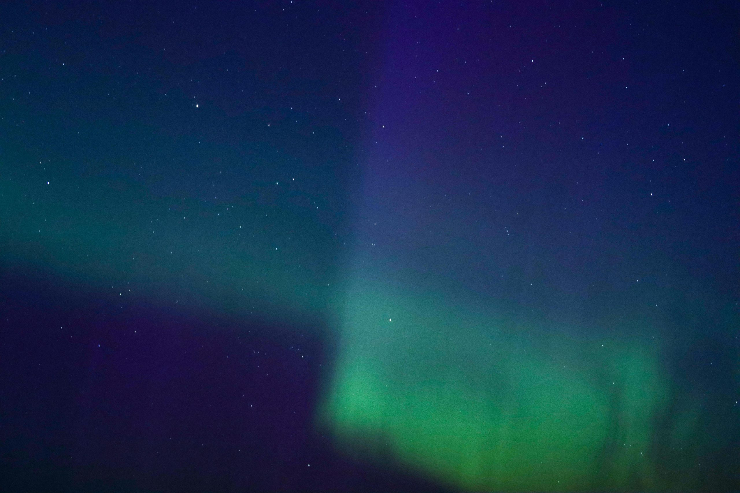 Exploring the Phenomenon of **Zero-Waste Shopping** and Its Challenges