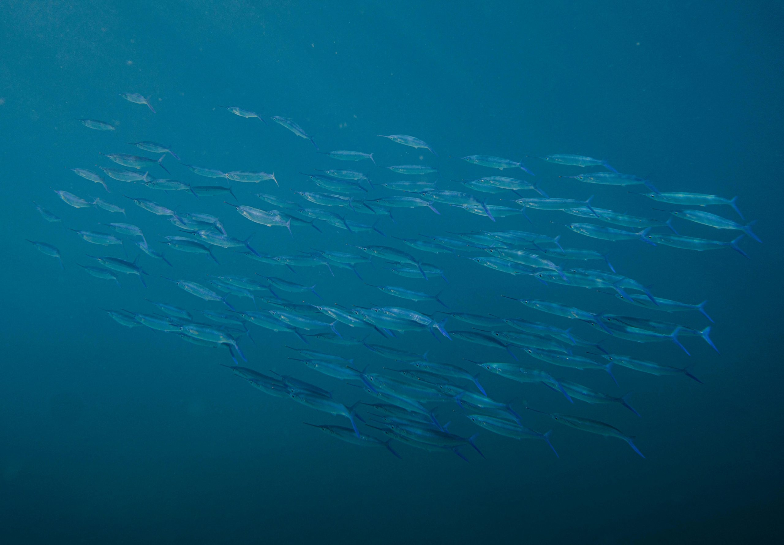 Exploring the World of Exotic Supercars and Hypercars