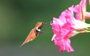 The Long-Term Impact of Small Daily Habits