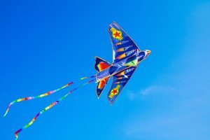 The Ethical Considerations of Automated Pricing and Dynamic Markdowns