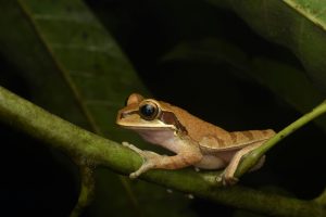 Developing an Eye for Fairness