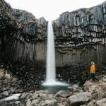 Exploring the Phenomenon of Viral Songs and Internet Fame