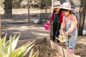 The Benefits of Outdoor Education and Nature Schools
